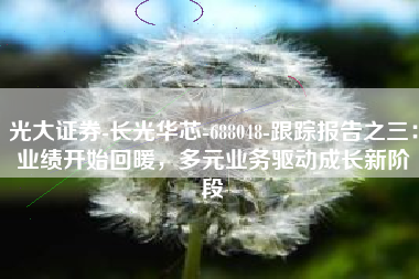 光大证券-长光华芯-688048-跟踪报告之三：业绩开始回暖，多元业务驱动成长新阶段