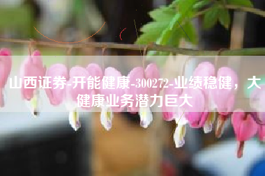 山西证券-开能健康-300272-业绩稳健，大健康业务潜力巨大