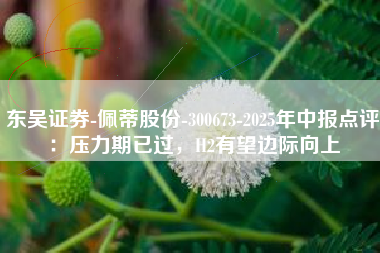 东吴证券-佩蒂股份-300673-2025年中报点评：压力期已过，H2有望边际向上