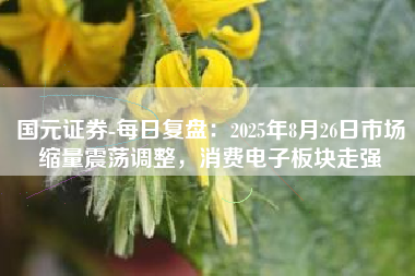 国元证券-每日复盘：2025年8月26日市场缩量震荡调整，消费电子板块走强