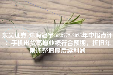 东吴证券-珠海冠宇-688772-2025年中报点评：手机出货高增业绩符合预期，折旧年限调整增厚后续利润