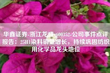 华鑫证券-浙江龙盛-600352-公司事件点评报告：25H1染料销量增长，持续巩固纺织用化学品龙头地位