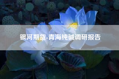 银河期货-青海纯碱调研报告