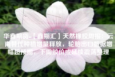 华鑫期货-【鑫期汇】天然橡胶周报：云南替代种植增量释放，轮胎出口数据增幅超预期，下周胶价或延续震荡整理