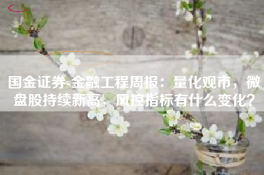 国金证券-金融工程周报：量化观市，微盘股持续新高，风控指标有什么变化？
