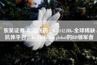 东吴证券-和铂医药~B-2142.HK-全球稀缺抗体平台，In China for global的BD领军者