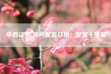 华西证券-资产配置日报：又见十字星