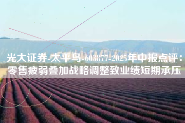 光大证券-太平鸟-603877-2025年中报点评：零售疲弱叠加战略调整致业绩短期承压