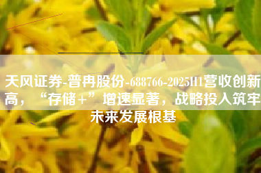 天风证券-普冉股份-688766-2025H1营收创新高，“存储+”增速显著，战略投入筑牢未来发展根基