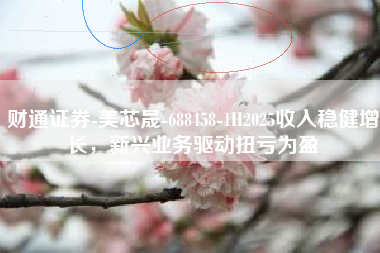 财通证券-美芯晟-688458-1H2025收入稳健增长，新兴业务驱动扭亏为盈
