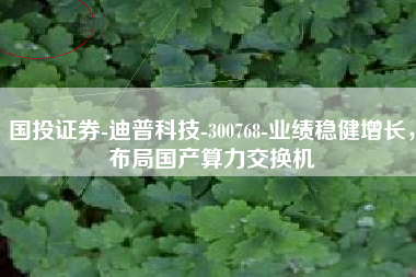 国投证券-迪普科技-300768-业绩稳健增长，布局国产算力交换机