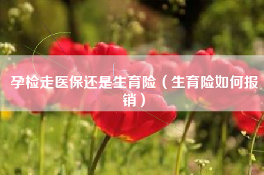 孕检走医保还是生育险（生育险如何报销）
