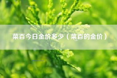 菜百今日金价多少（菜百的金价）