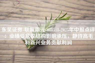 东吴证券-联赢激光-688518-2025年中报点评：业绩受营收结构影响承压，静待高毛利新兴业务贡献利润