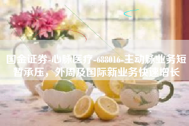 国金证券-心脉医疗-688016-主动脉业务短暂承压，外周及国际新业务快速增长