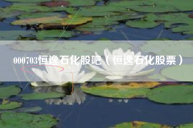 000703恒逸石化股吧（恒逸石化股票）