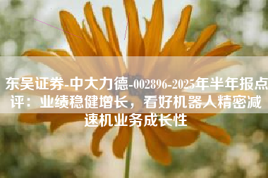 东吴证券-中大力德-002896-2025年半年报点评：业绩稳健增长，看好机器人精密减速机业务成长性