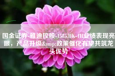 国金证券-雅迪控股-1585.HK-1H业绩表现亮眼，产品升级&政策催化有望共筑龙头优势