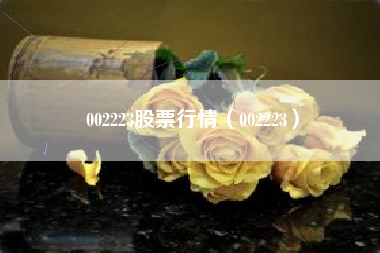 002223股票行情（002223）