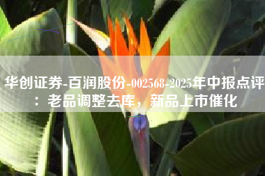 华创证券-百润股份-002568-2025年中报点评：老品调整去库，新品上市催化