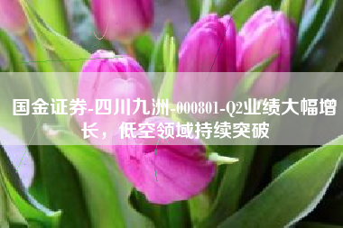 国金证券-四川九洲-000801-Q2业绩大幅增长，低空领域持续突破