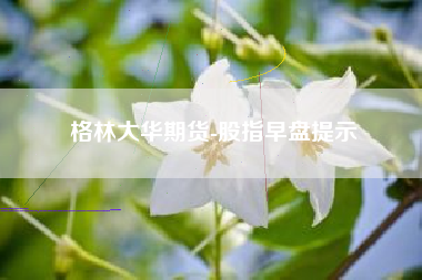 格林大华期货-股指早盘提示