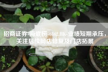 招商证券-海底捞-6862.HK-业绩短期承压，关注后续同店修复及门店拓展