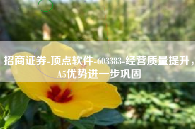 招商证券-顶点软件-603383-经营质量提升，A5优势进一步巩固