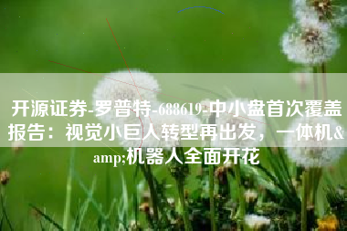 开源证券-罗普特-688619-中小盘首次覆盖报告：视觉小巨人转型再出发，一体机&机器人全面开花