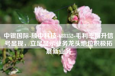 中银国际-颀中科技-688352-毛利率回升信号显现，立足显示业务龙头地位积极拓展新业务