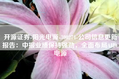 开源证券-阳光电源-300274-公司信息更新报告：中报业绩保持强劲，全面布局AIDC电源