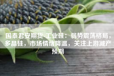 国泰君安期货-工业硅：弱势震荡格局，多晶硅，市场情绪降温，关注上游减产预期