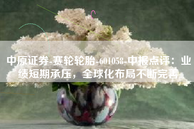 中原证券-赛轮轮胎-601058-中报点评：业绩短期承压，全球化布局不断完善
