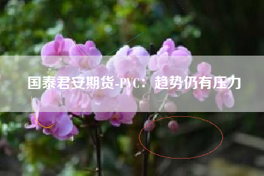 国泰君安期货-PVC：趋势仍有压力