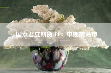 国泰君安期货-PP：中期震荡市