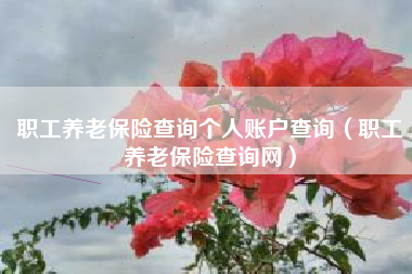 职工养老保险查询个人账户查询（职工养老保险查询网）