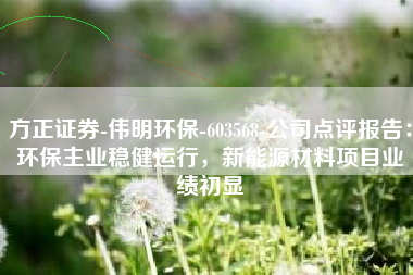 方正证券-伟明环保-603568-公司点评报告：环保主业稳健运行，新能源材料项目业绩初显