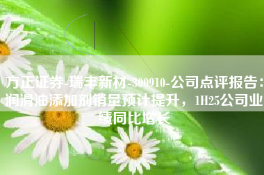 方正证券-瑞丰新材-300910-公司点评报告：润滑油添加剂销量预计提升，1H25公司业绩同比增长