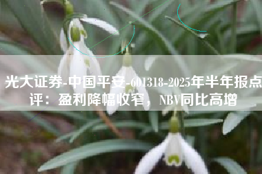 光大证券-中国平安-601318-2025年半年报点评：盈利降幅收窄，NBV同比高增