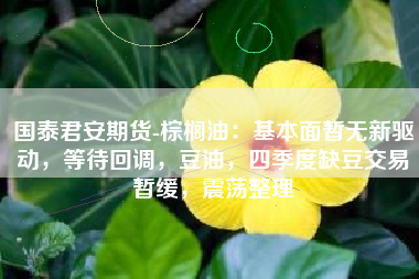 国泰君安期货-棕榈油：基本面暂无新驱动，等待回调，豆油，四季度缺豆交易暂缓，震荡整理