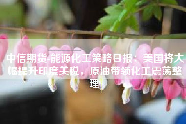中信期货-能源化工策略日报：美国将大幅提升印度关税，原油带领化工震荡整理
