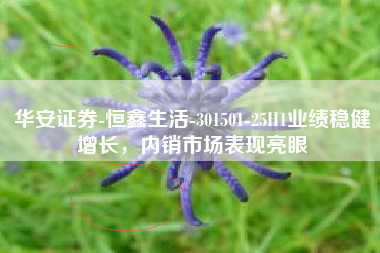 华安证券-恒鑫生活-301501-25H1业绩稳健增长，内销市场表现亮眼