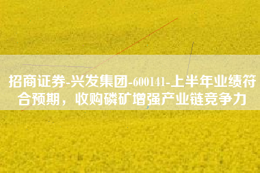 招商证券-兴发集团-600141-上半年业绩符合预期，收购磷矿增强产业链竞争力