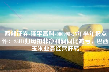西部证券-隆平高科-000998-25年半年报点评：25H1归母扣非净利润同比减亏，巴西玉米业务经营好转