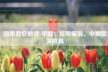 国泰君安期货-甲醇：短期偏弱，中期震荡格局