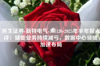 民生证券-新特电气-301120-2025年半年报点评：储能业务持续减亏，数据中心领域加速布局