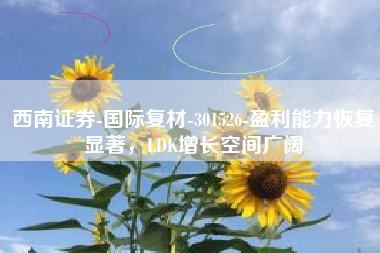 西南证券-国际复材-301526-盈利能力恢复显著，LDK增长空间广阔