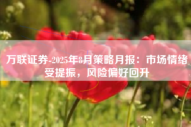 万联证券-2025年8月策略月报：市场情绪受提振，风险偏好回升