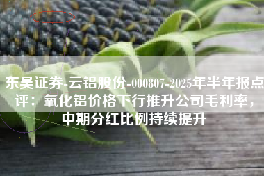 东吴证券-云铝股份-000807-2025年半年报点评：氧化铝价格下行推升公司毛利率，中期分红比例持续提升