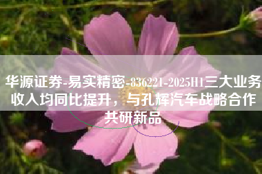 华源证券-易实精密-836221-2025H1三大业务收入均同比提升，与孔辉汽车战略合作共研新品